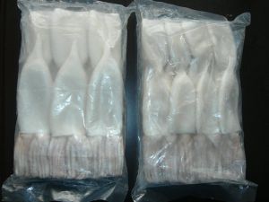 Squid Tube and Squid Tentacle